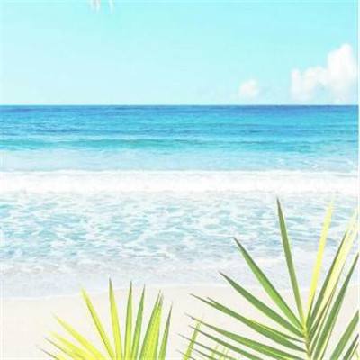 开云集团app下载