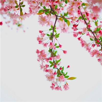 ng体育电子游戏app下载截图