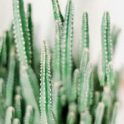 2023澳门资料大全正版下载手机版